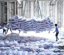 Đường dài cho xuất khẩu gạo: Bài 1 - Thời cơ lớn!